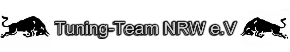 Logo Tuning Team.jpg (37366 bytes)